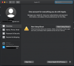 Screenshot 2020-08-09 at 17.20.33.png