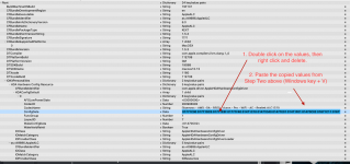 Pin Config plist edit..png