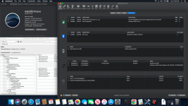 Screen Shot 2024-03-19 at 12.35.30 AM.png