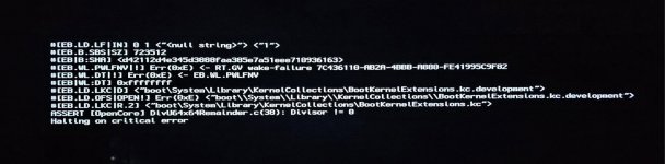 Ryzen_9950x_Sonoma_verbose_boot.jpg